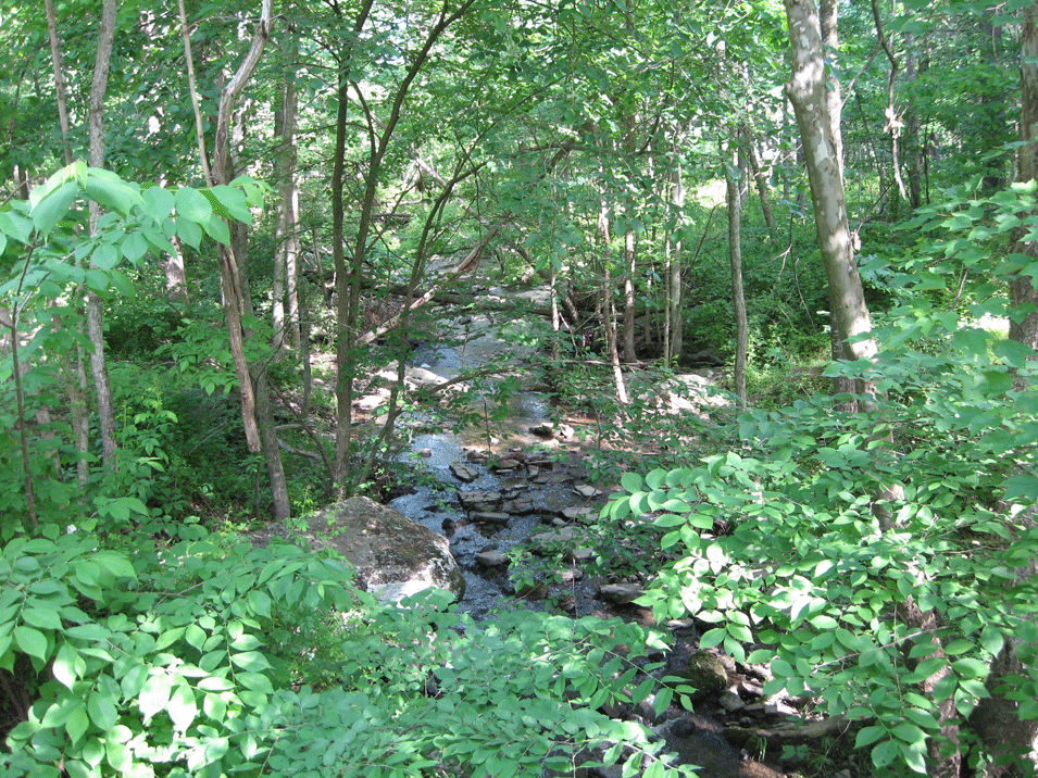 View of Plum Run looking north from the South Confederate Avenue bridge