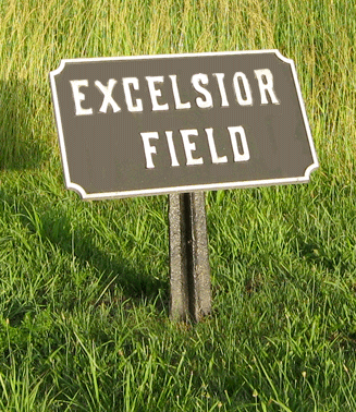 s-Excelsior-Field_2720