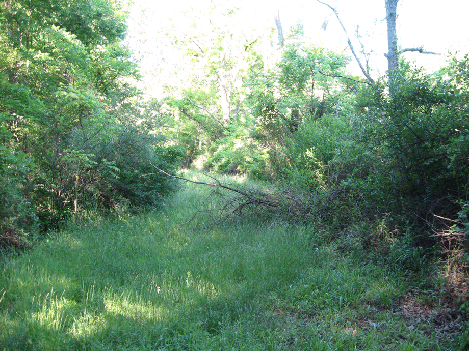 Trail from Ridge Road to the 1st and 2nd U.S. Cavalry marker
